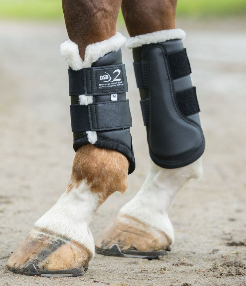 Horse Boots – Jumping Boots, Support Boots, Splint Boots, Bell Boots ...
