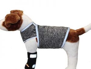 dog-lightning-shirt