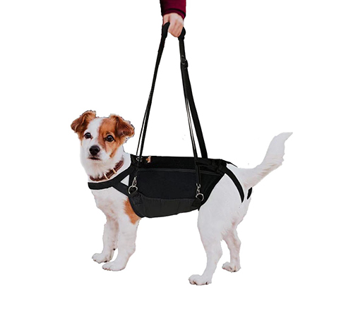 dog hip support sling