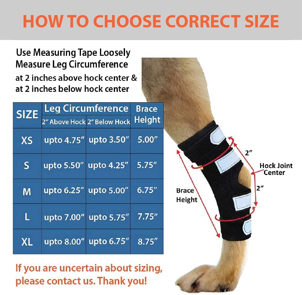 3-in-1-Dog-Splint-Braces-LONG-3.jpg