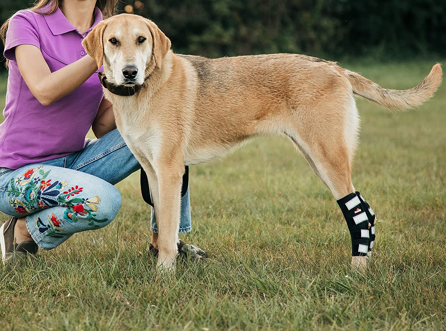 3-in-1-Dog-Splint-Braces-LONG-6.jpg