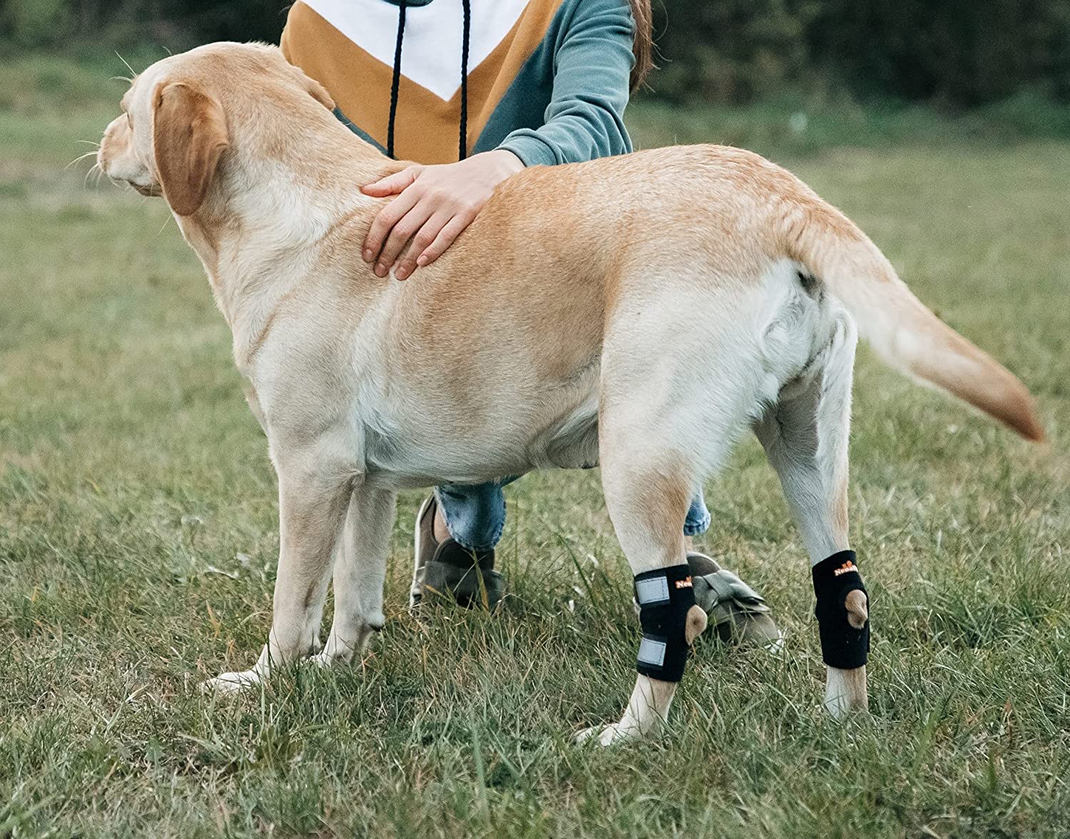 NeoAlly 3-in-1 Dog Splint Braces [Short Version] for Small Dogs or Short  Rear Leg Support –