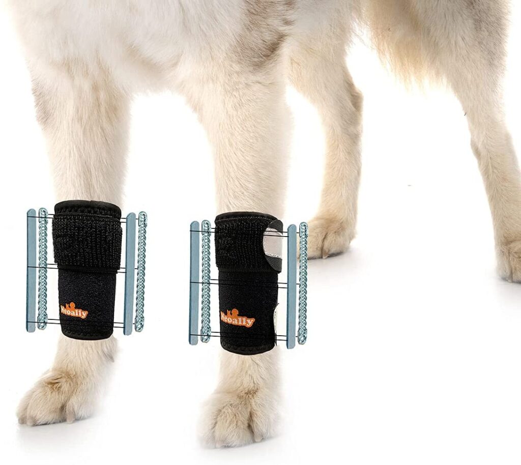 NeoAlly 3in1 Dog Front Leg Splint Braces for Support