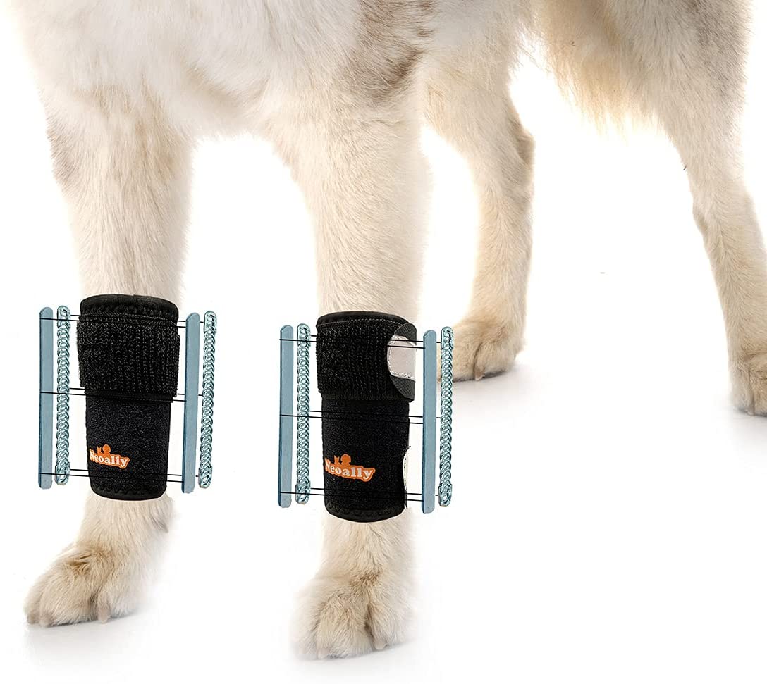 NeoAlly 3-in-1 Dog Front Leg Splint Braces for Support –