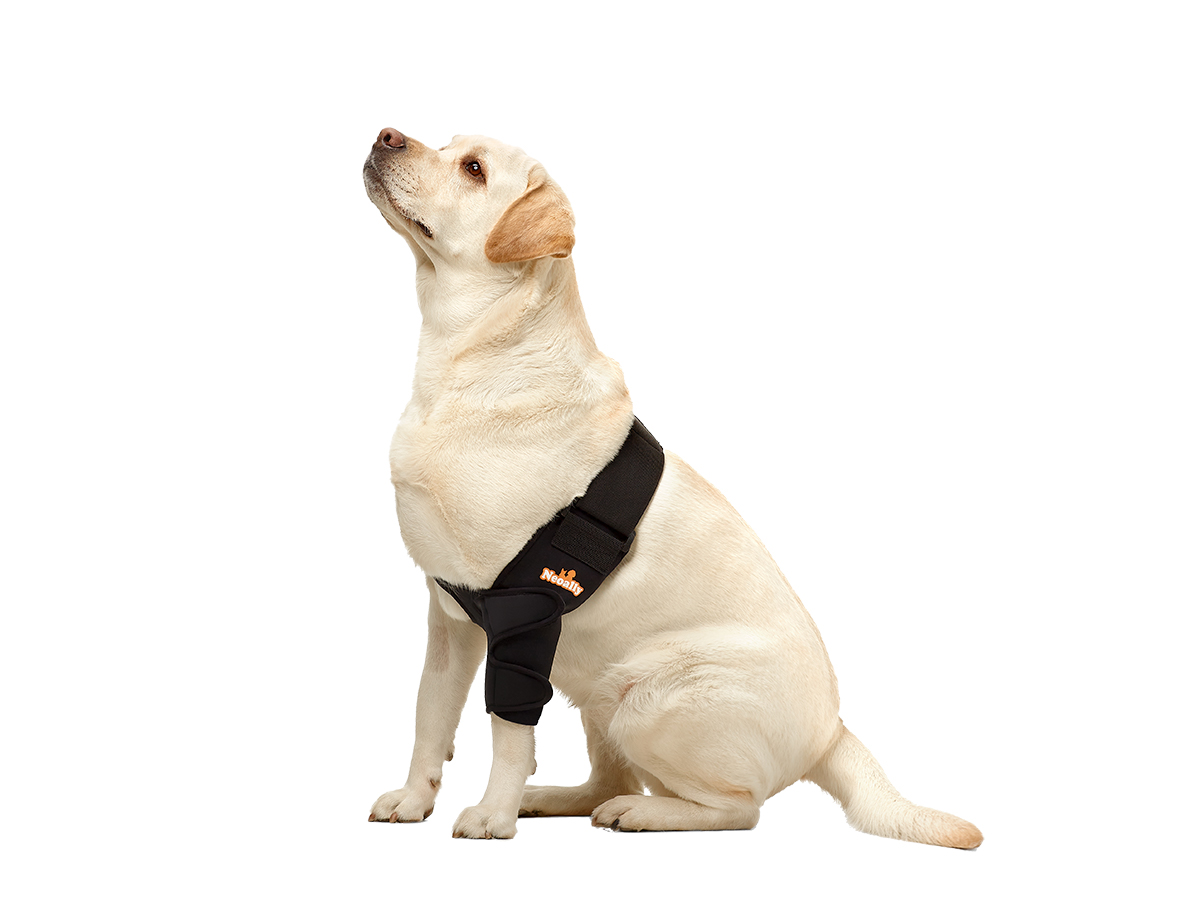 Dog Elbow Brace Protector for Elbow Hygromas Dysplasia Calluses