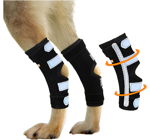 thumbnail interactive-video image 1 of Adjustable Dog Rear Leg Support Brace - For Hip Dysplasia, Injury, Arthritis - Sizes S/M/L 1 of 1