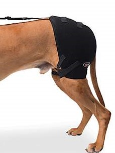 Dog Hip Dysplasia Brace –